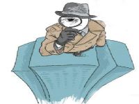 昭觉县取证公司解说第三者承担离婚赔偿责任吗